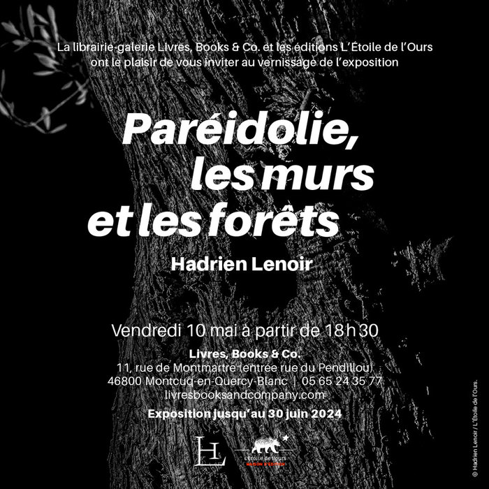 Exposition "Pareidolie, les murs et les forêts"  France Occitanie Lot Montcuq-en-Quercy-Blanc 46800