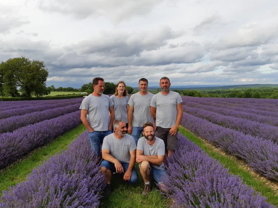 Bergers des Lavandes