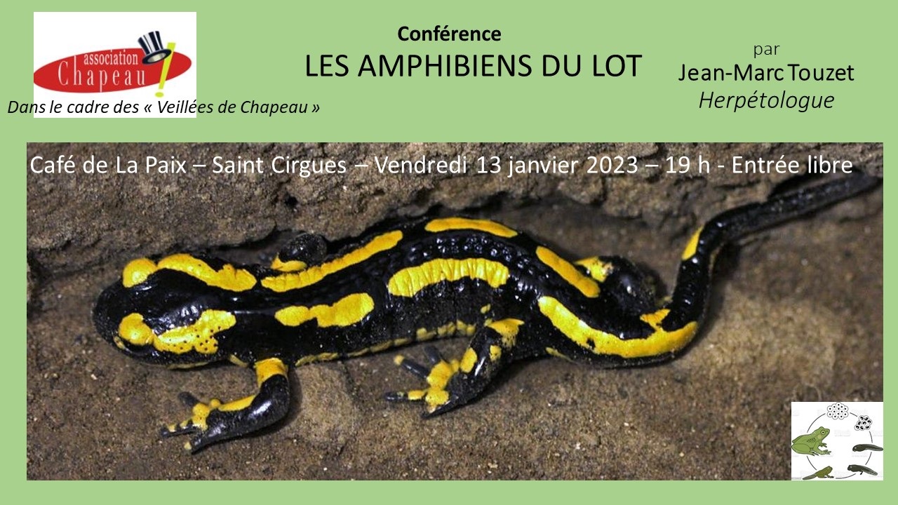 Soirée-causerie : les amphibiens du Lot  France Occitanie Lot Saint-Cirgues 46210