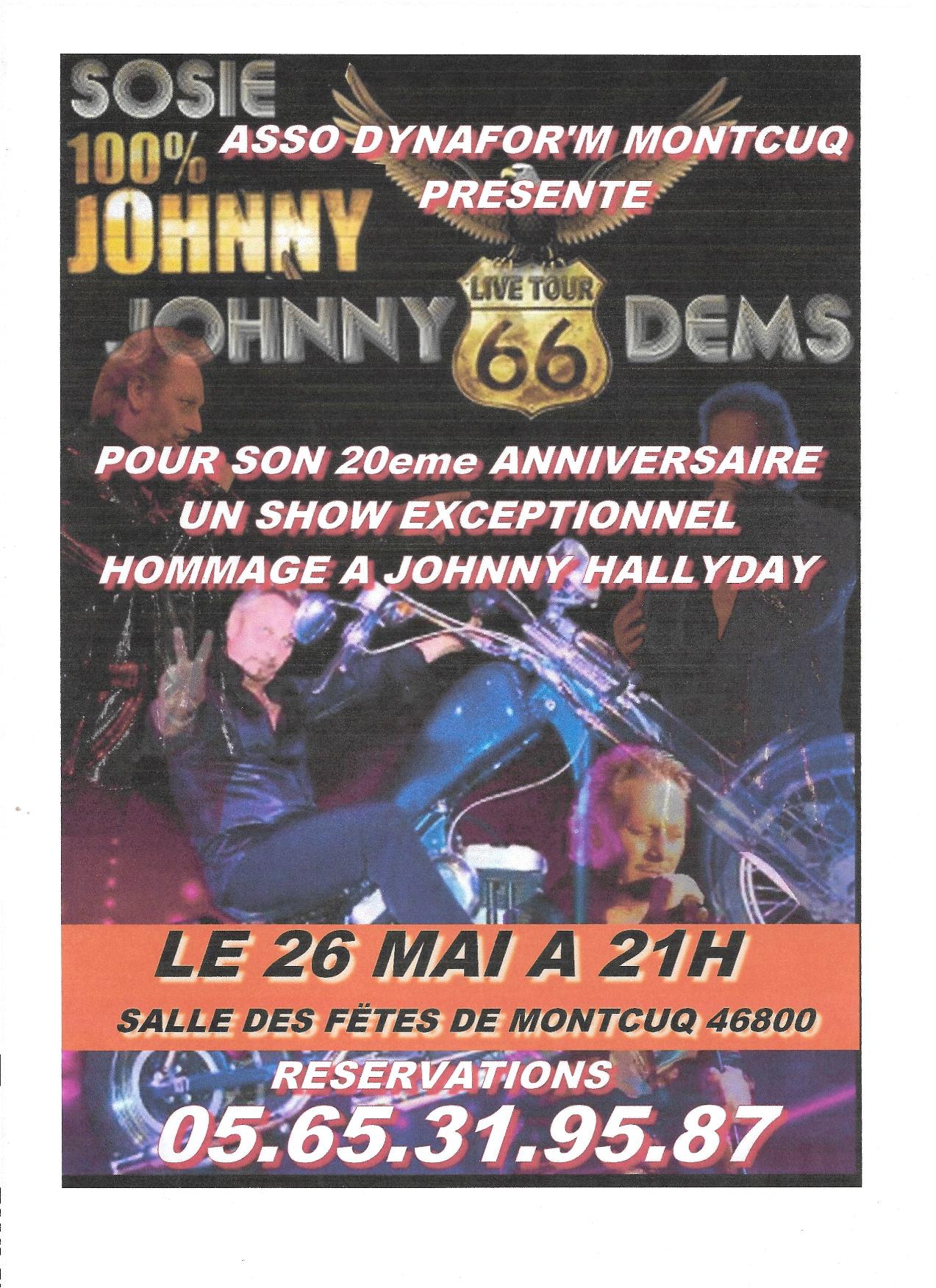Show Hommage Johnny Hallyday null France null null null null