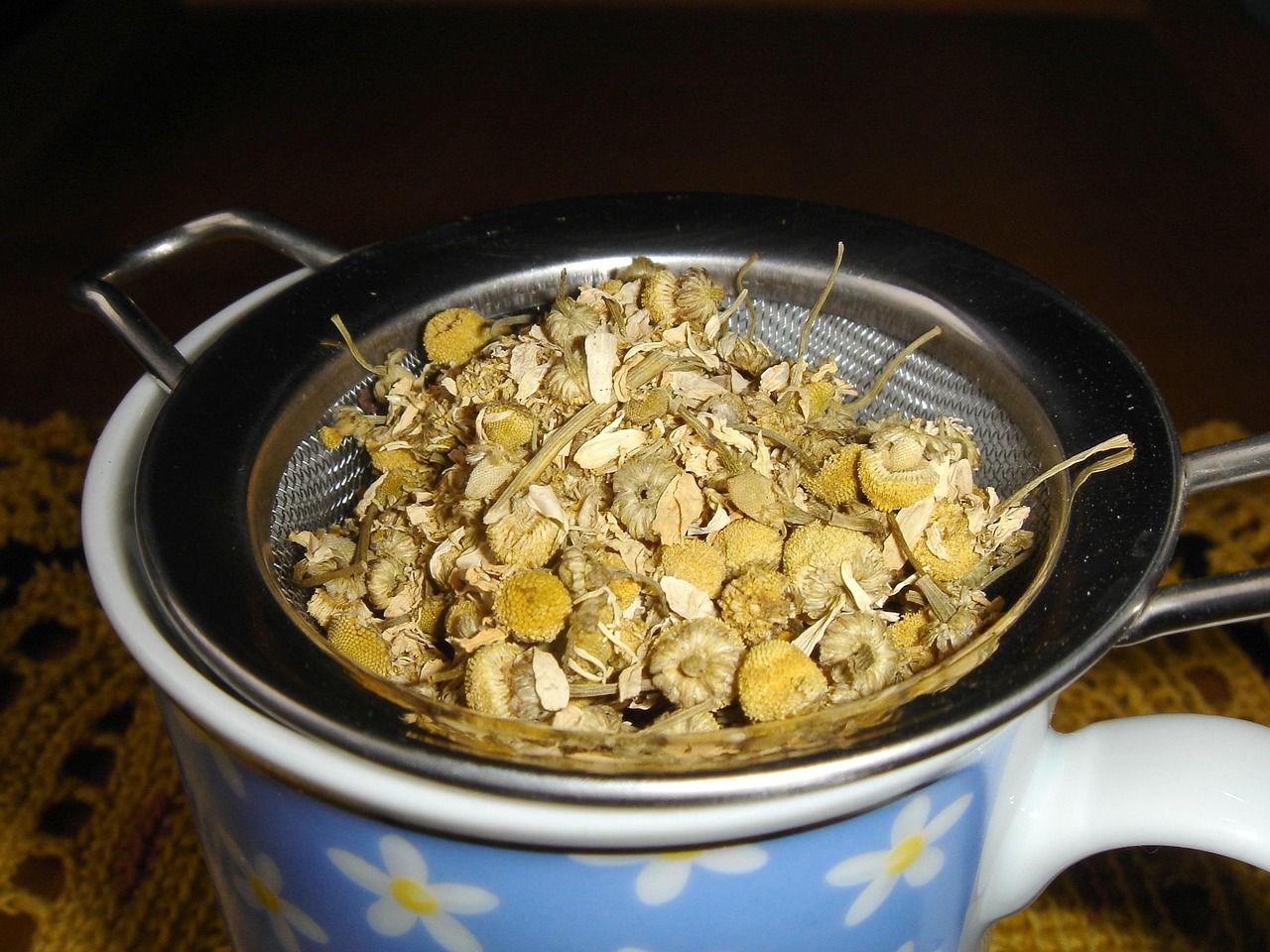 Camomille 
