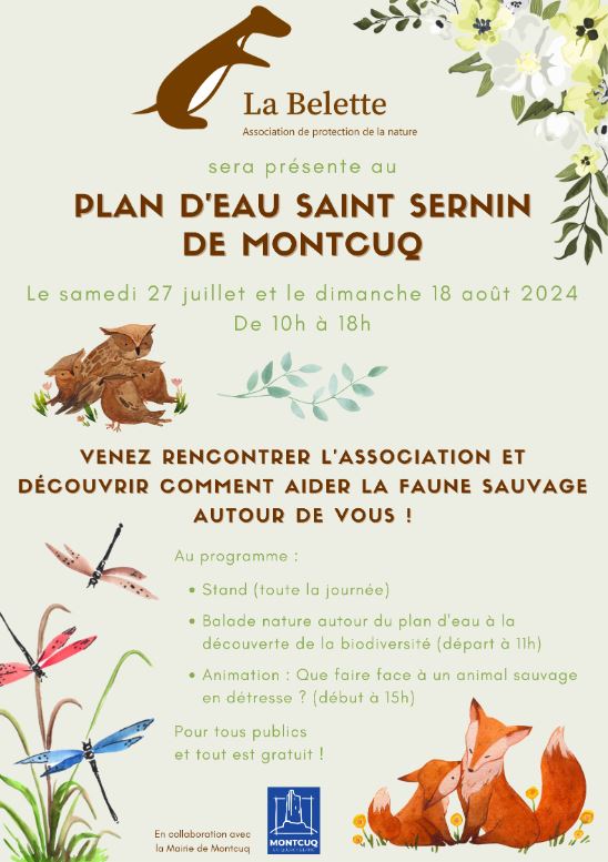 Animations de La Belette au plan d'eau Saint Sernin de Montcuq null France null null null null
