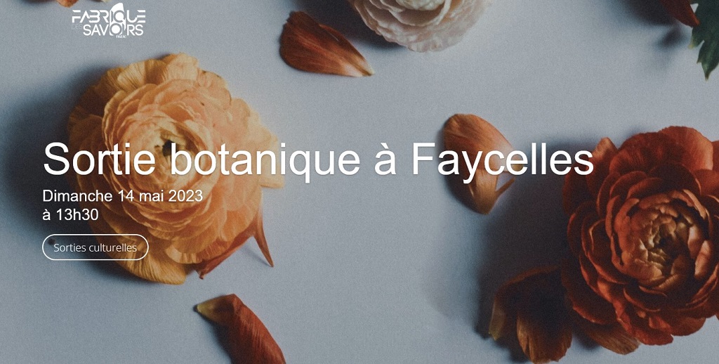 Balade botanique à Faycelles  France Occitanie Lot Faycelles 46100