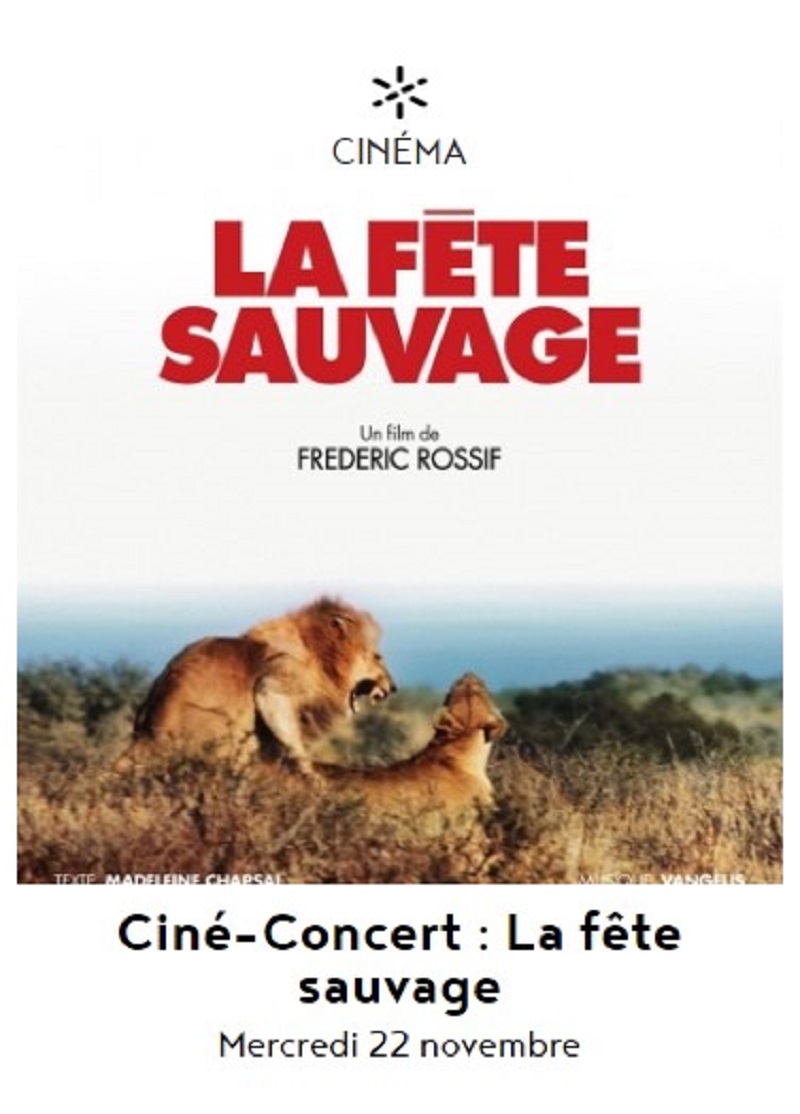Ciné Concert à Figeac : la fête sauvage  France Occitanie Lot Figeac 46100