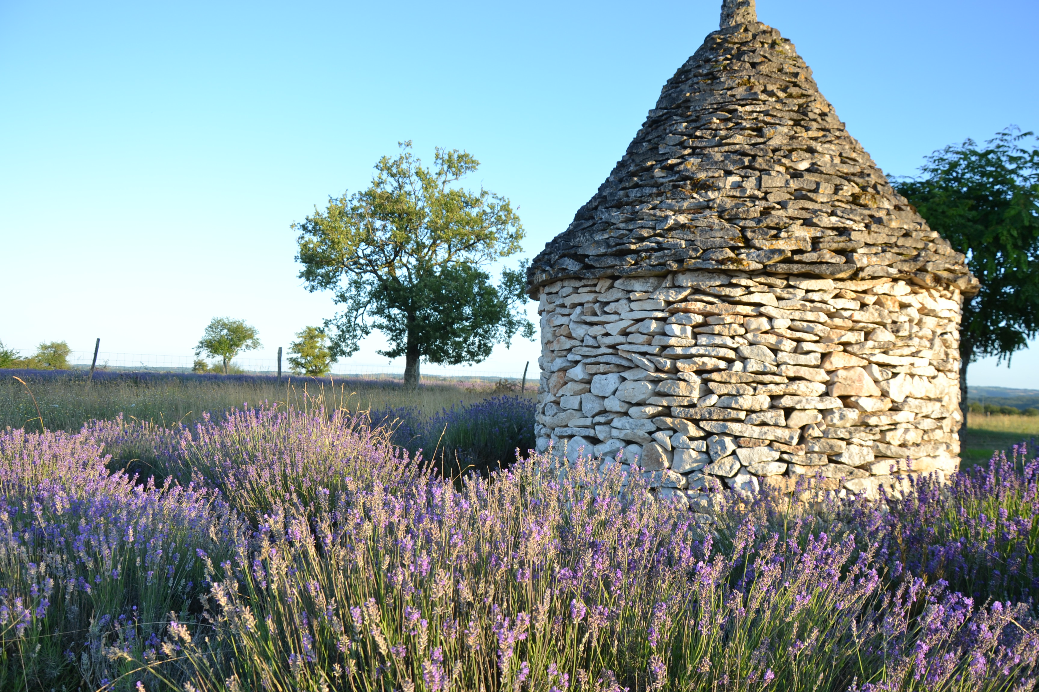 La Cigale du Causse