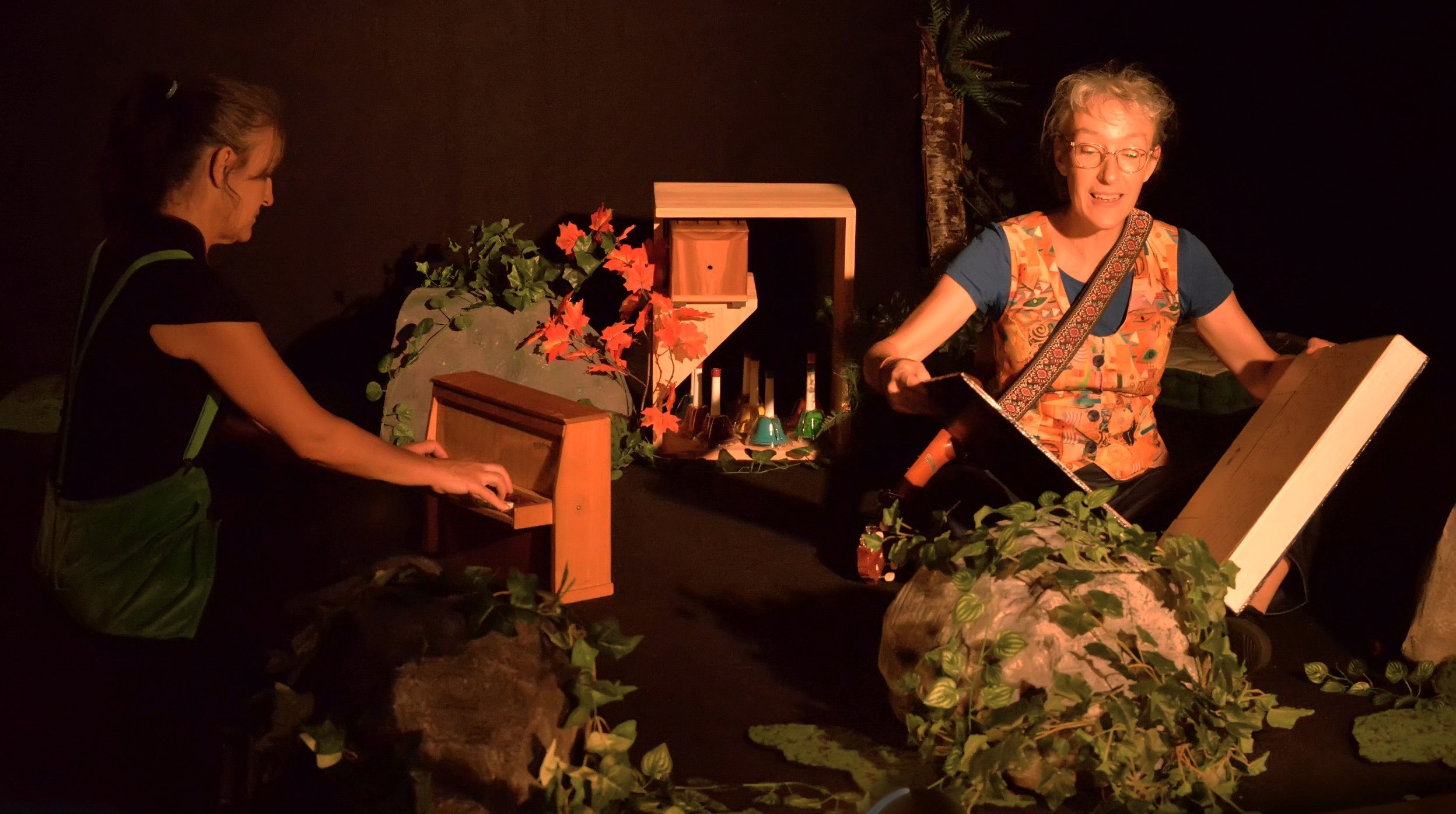 Ému - L'Ibis à coulisses 