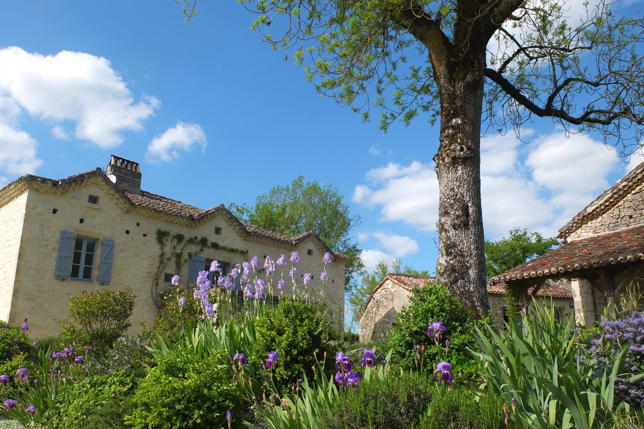 Gîte du Causse  France Occitanie Lot Lendou-en-Quercy 46800
