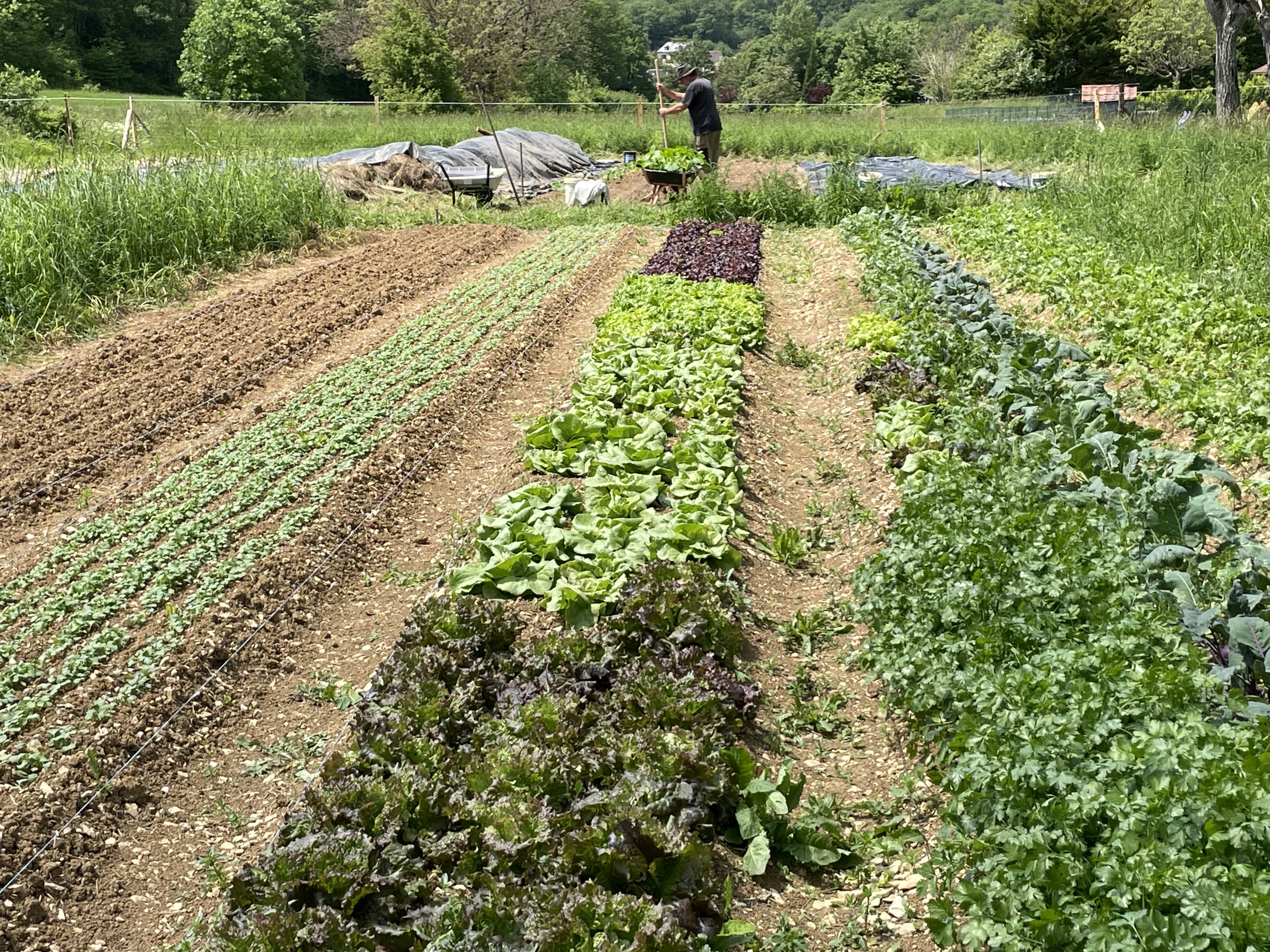 La Ferme du Ruisseau de Saint-Clair