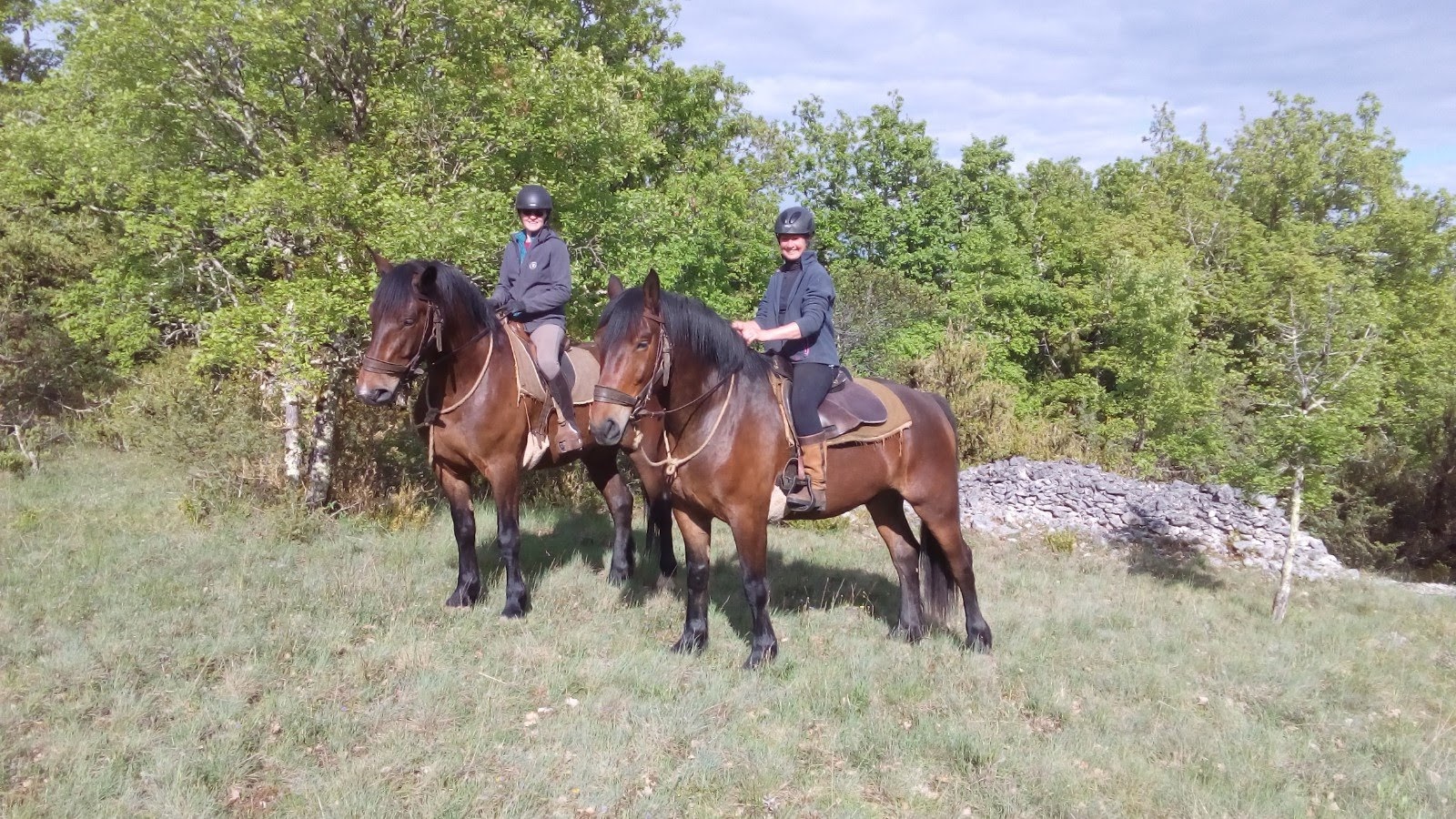 Ferme Equestre du Pech Merle