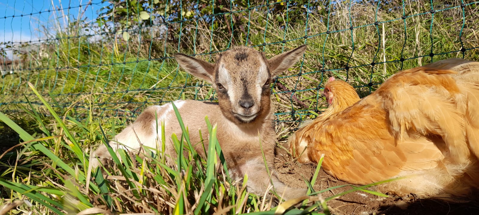 Ferme la Croix de Fénelon