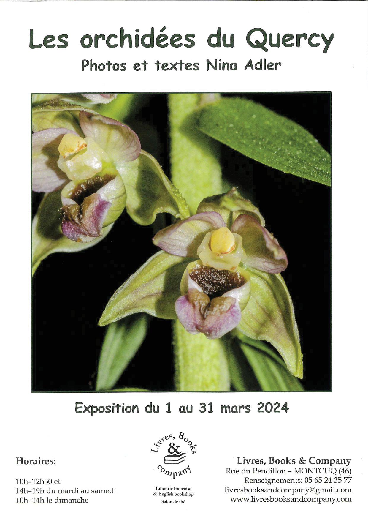 Exposition photographique "Les orchidées du Quercy" chez Livres Books & Co null France null null null null