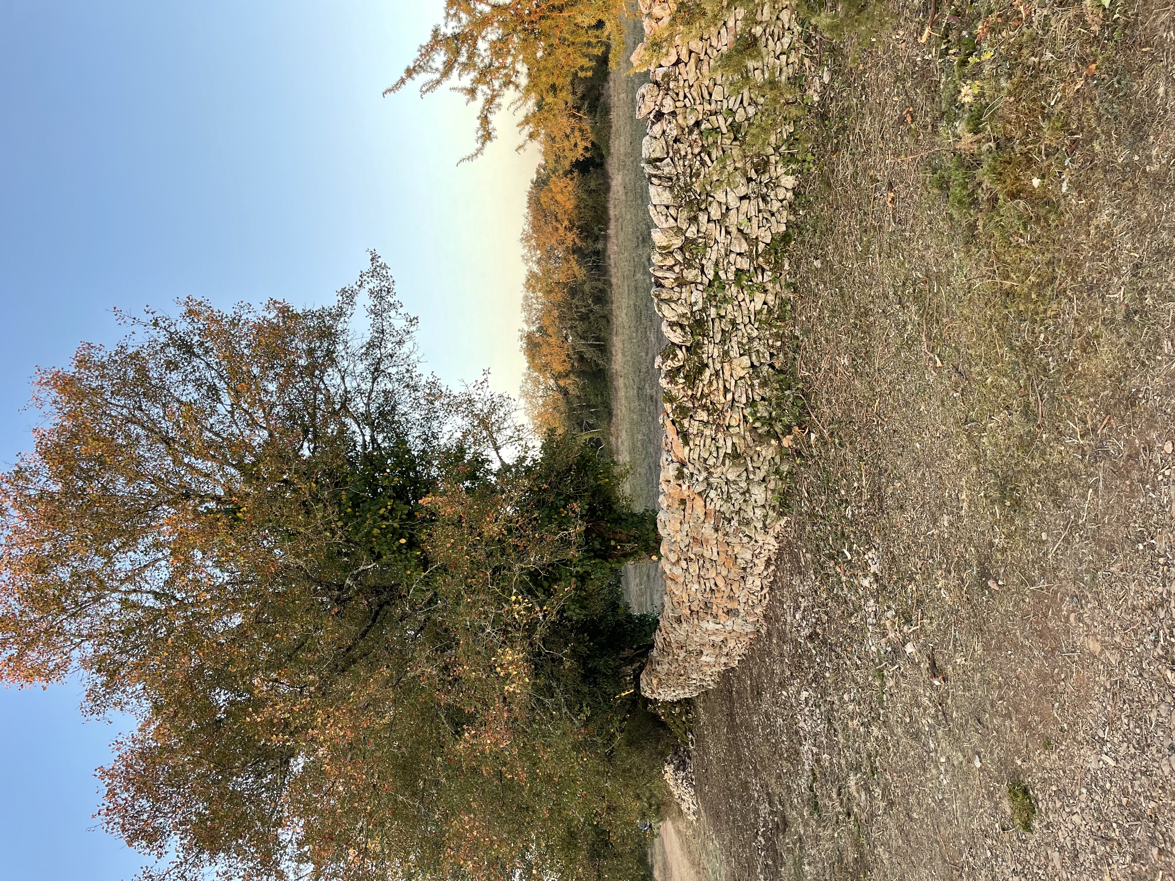 Mille mains à la pâte : découverte de la pratique du bâti en pierre sèche, Rocamadour - photo 2