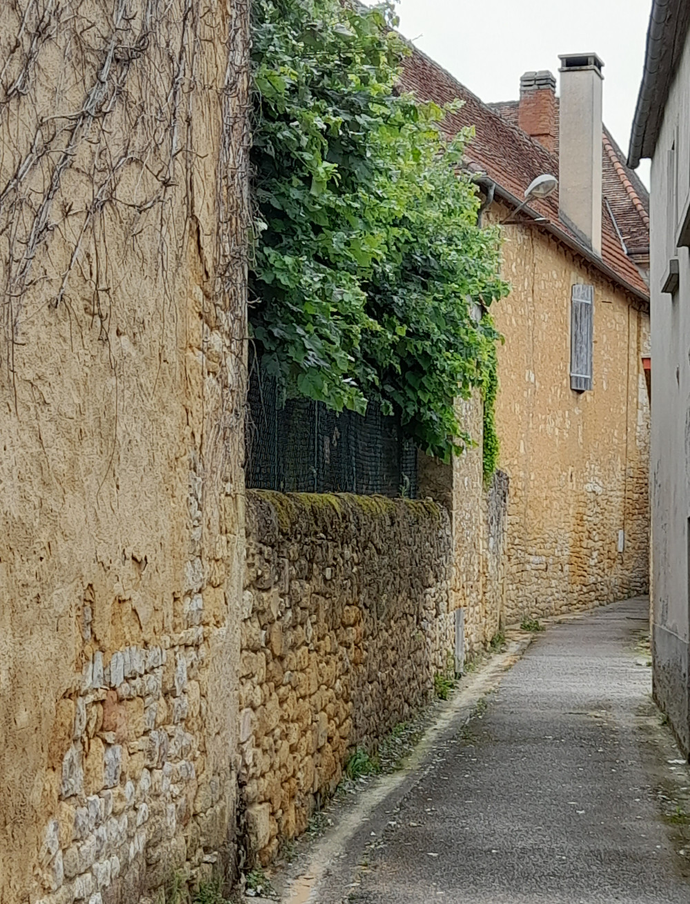 Balade Racontée « Des rumeurs aux Procès »  France Provence-Alpes-Côte d'Azur Alpes-Maritimes Gourdon 06620