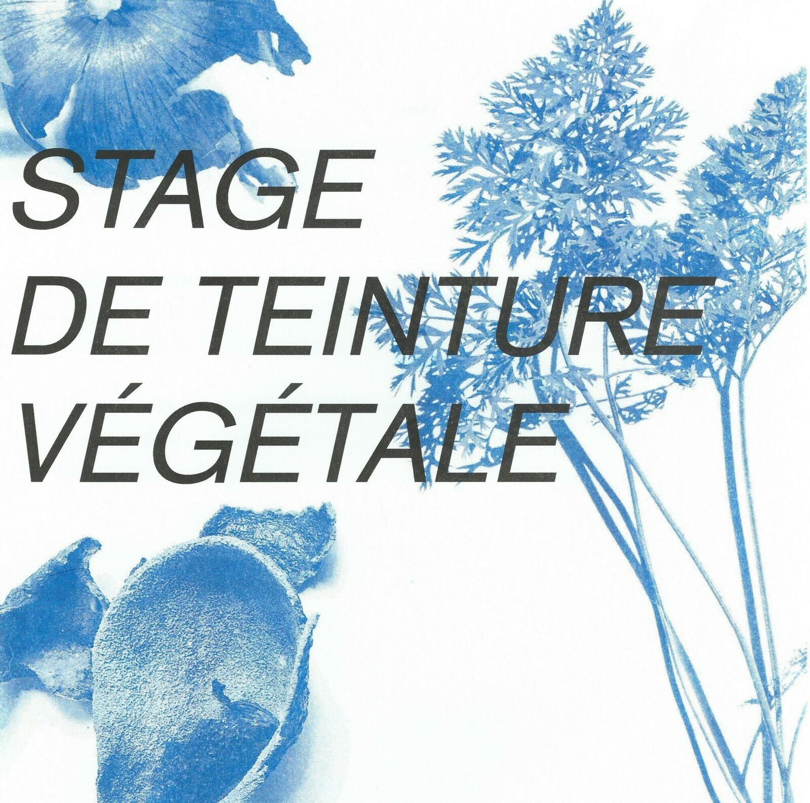 Stage teinture végétale 