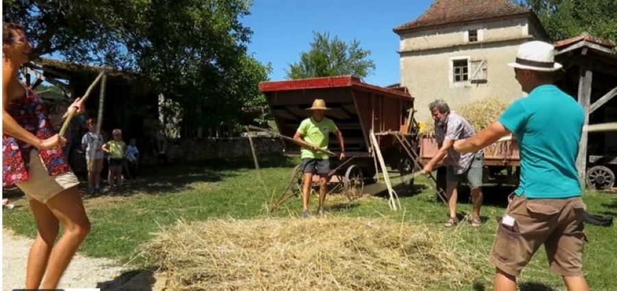 Récoltes d'été à l'écomusée de Cuzals  France Occitanie Lot Sauliac-sur-Célé 46330