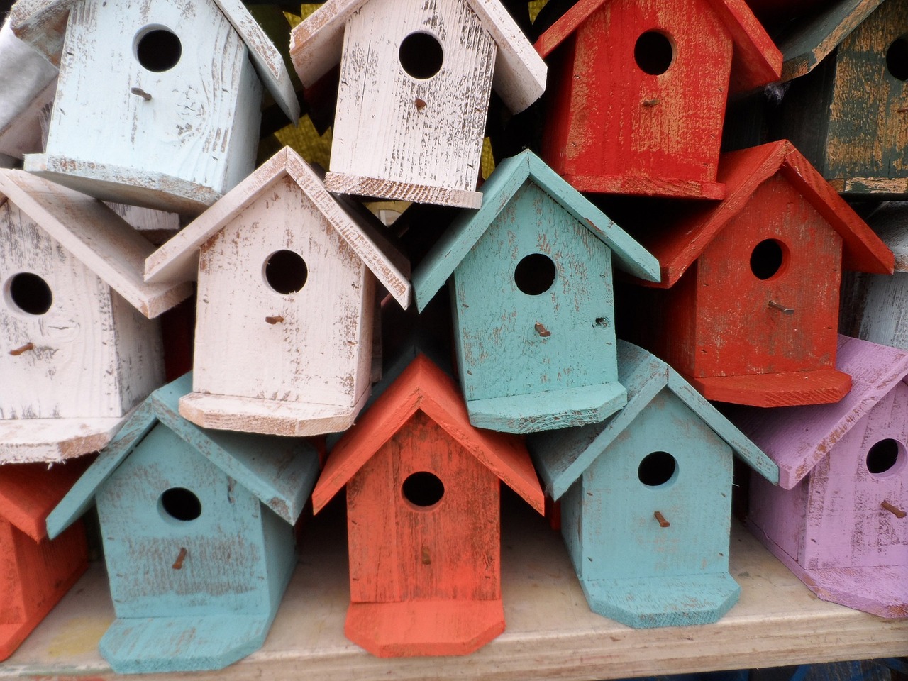 bird-house-72332_1280