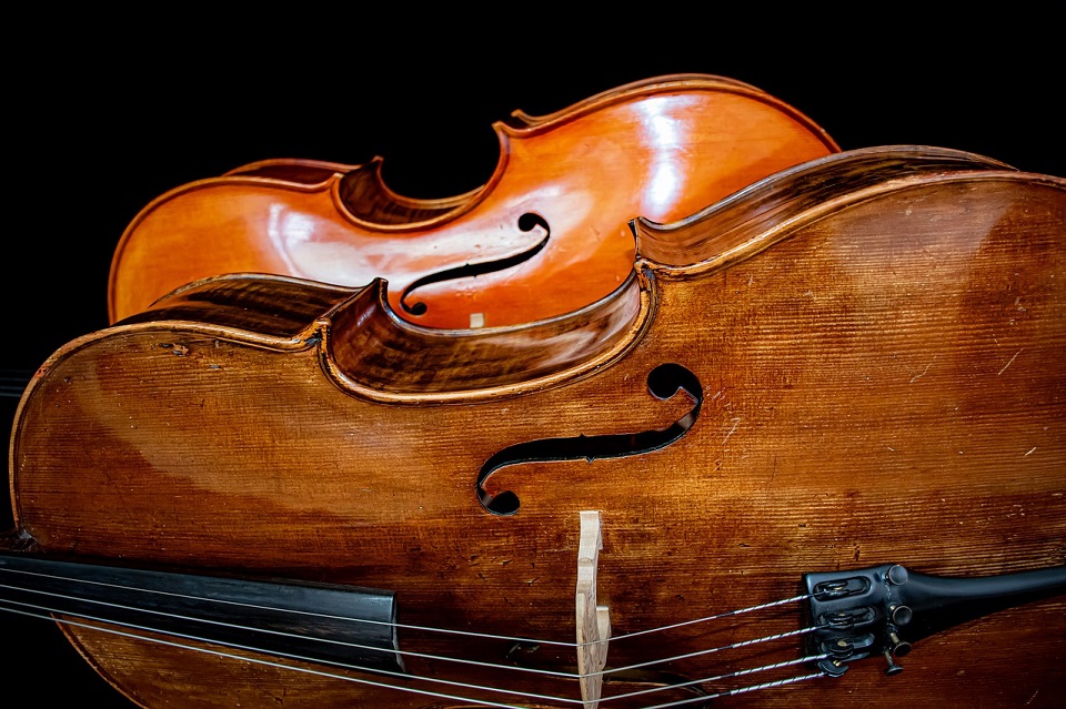cello-4516586_1280©Ri_Ya