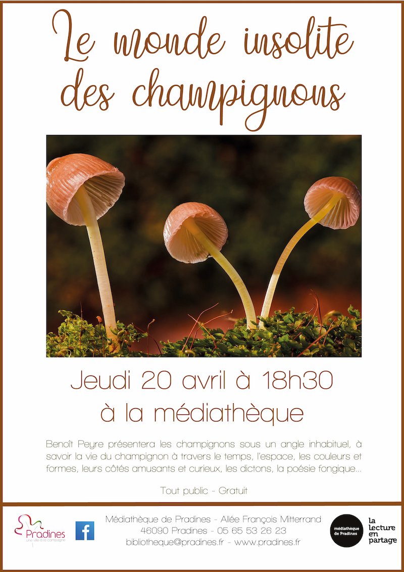 Conférence: Le monde insolite des champignons  France Auvergne-Rhône-Alpes Loire Pradines 42630