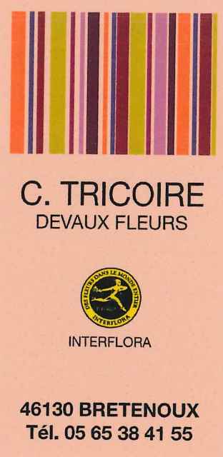 DEVAUX-FLEURS-C.TRICOIRE