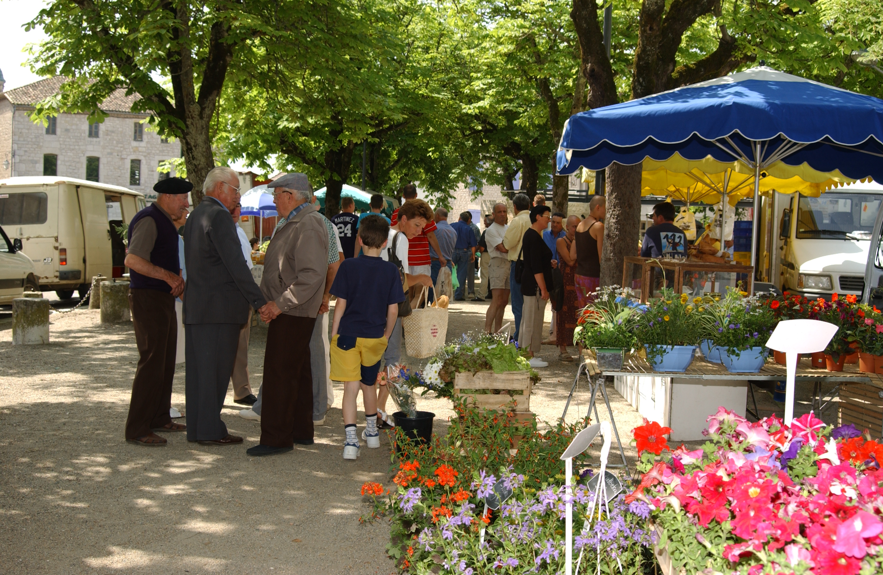 Foire mensuelle à Castelnau-Montratier (2/2)