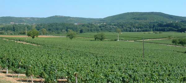 Domaine de la Banière