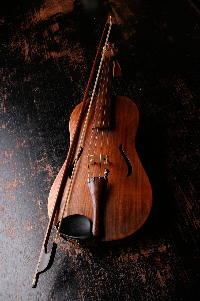 violin-924349_1280