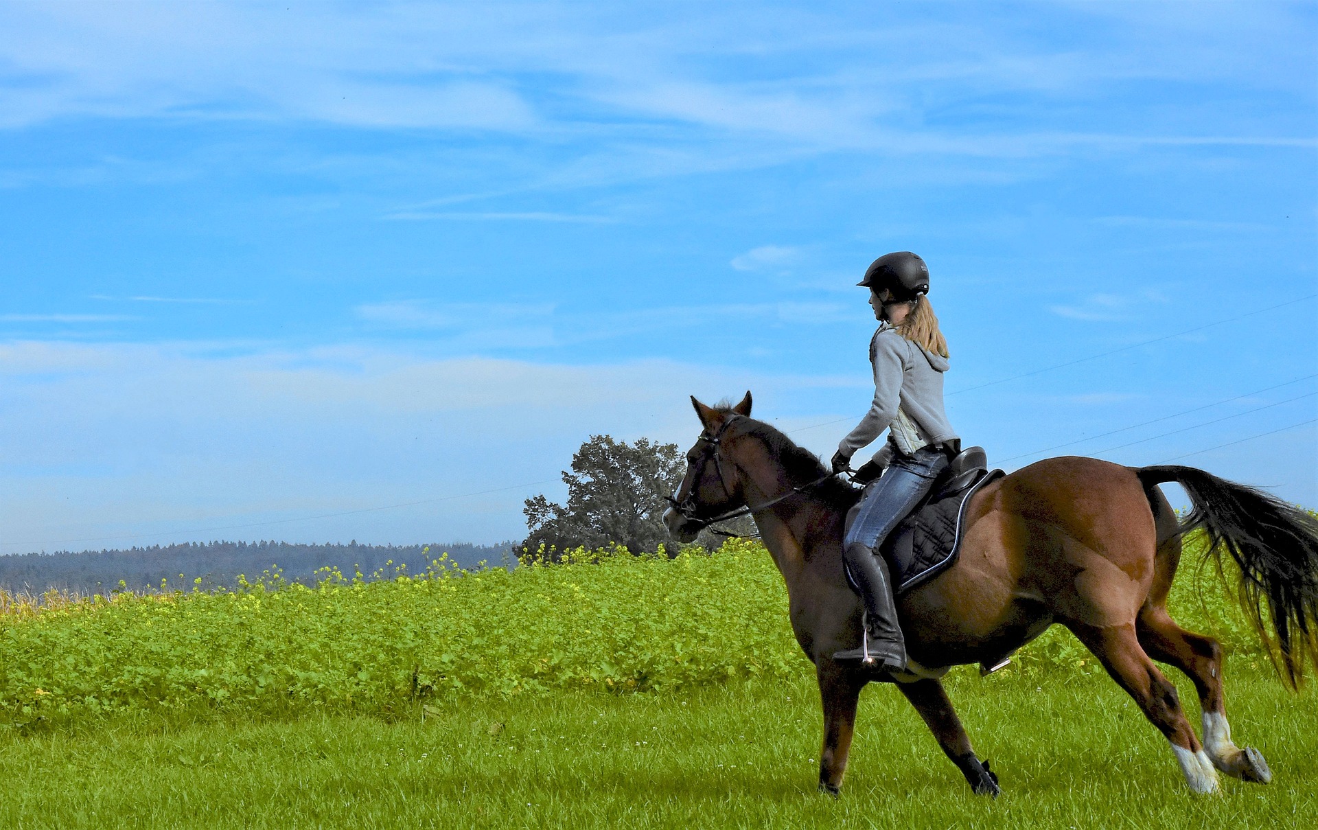 Figeac : Randonnée cheval avec l'ARET
