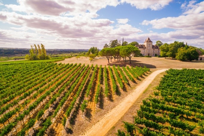 Figeac : Parcours d’orientation dans le vignoble du Château de Haute-Serre
