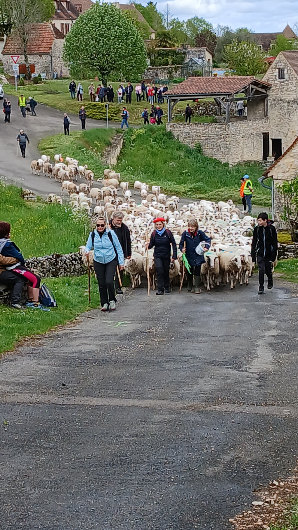 Figeac : Repas de la Transhumance, à Séniergues