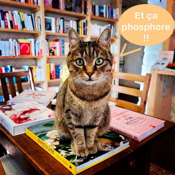 Figeac : Livres, Books & Co : Thé Philo - reporté au 5 novembre
