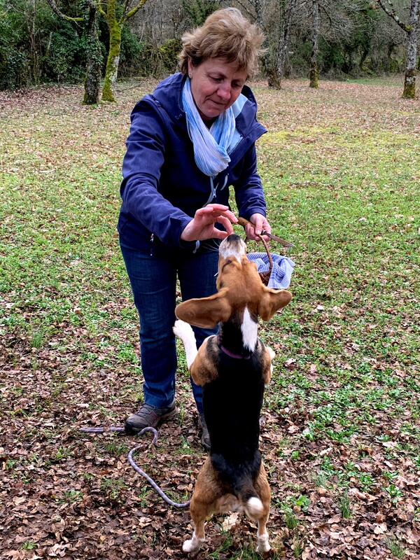 Figeac : Visite de la truffière à Truffes Passion