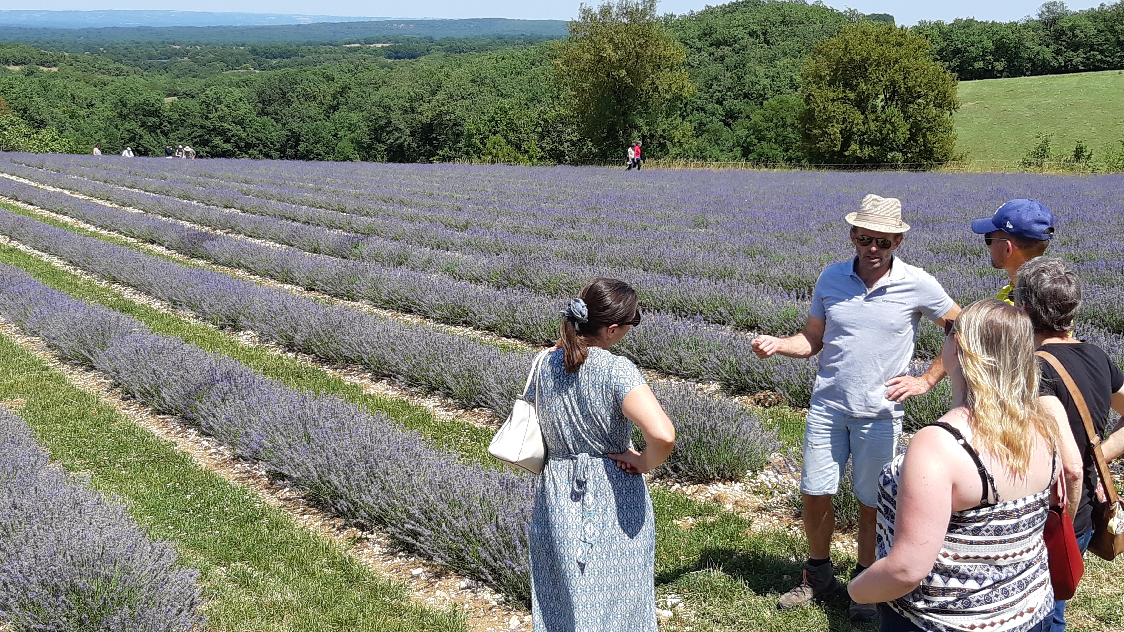 Figeac : Rando dans les champs de lavande à l'occasion des Portes des Bergers des Lavandes