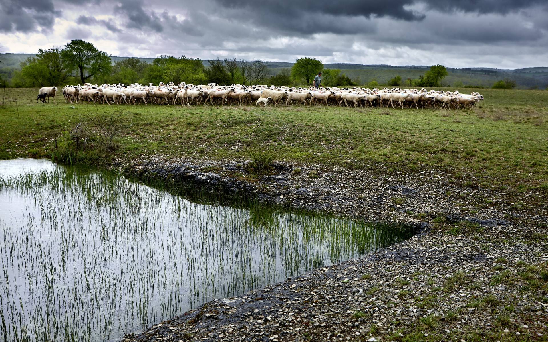 Figeac : Regards croisés sur le paysage et la biodiversité du Mont Saint-Cyr