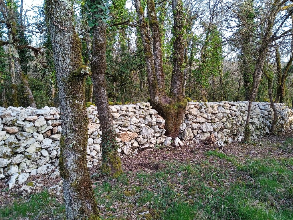 Figeac : Chantier muret en pierres sèches