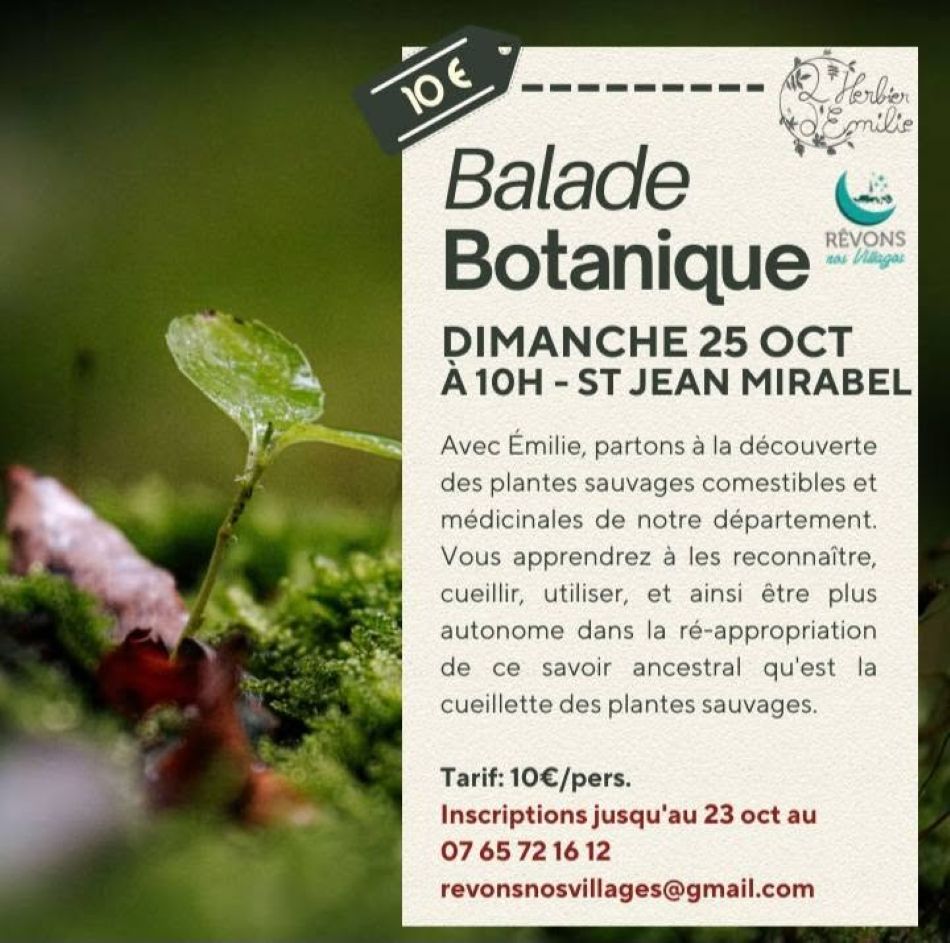 Figeac : Balade botanique à Saint Jean Mirabel