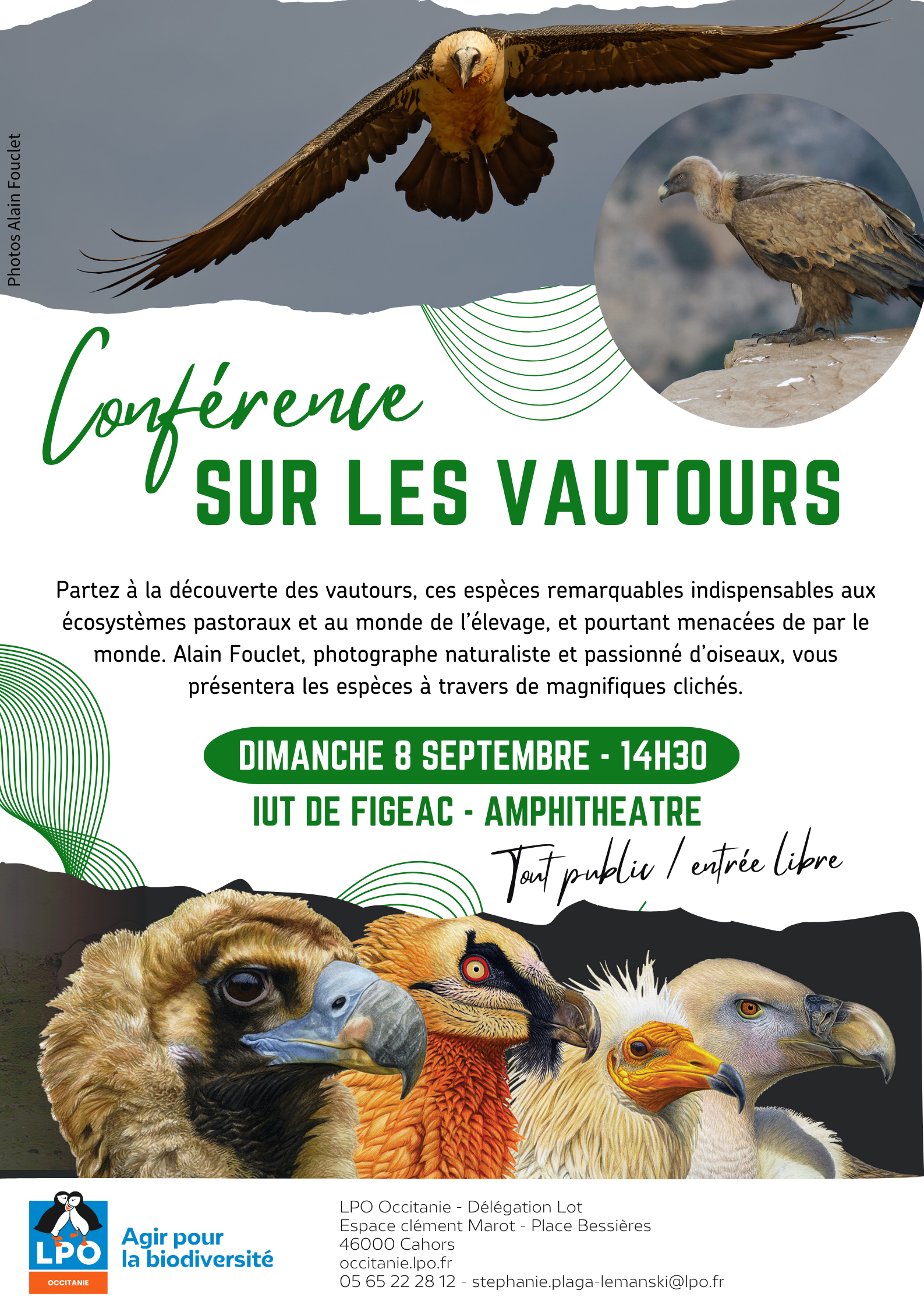 Conférence sur les vautours