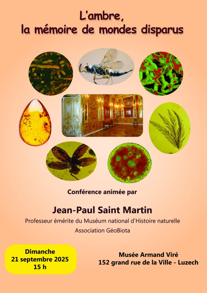 Figeac : Conférence sur l'ambre, mémoire des mondes disparus par le paléontologue Jean-Paul SAINT MARTIN