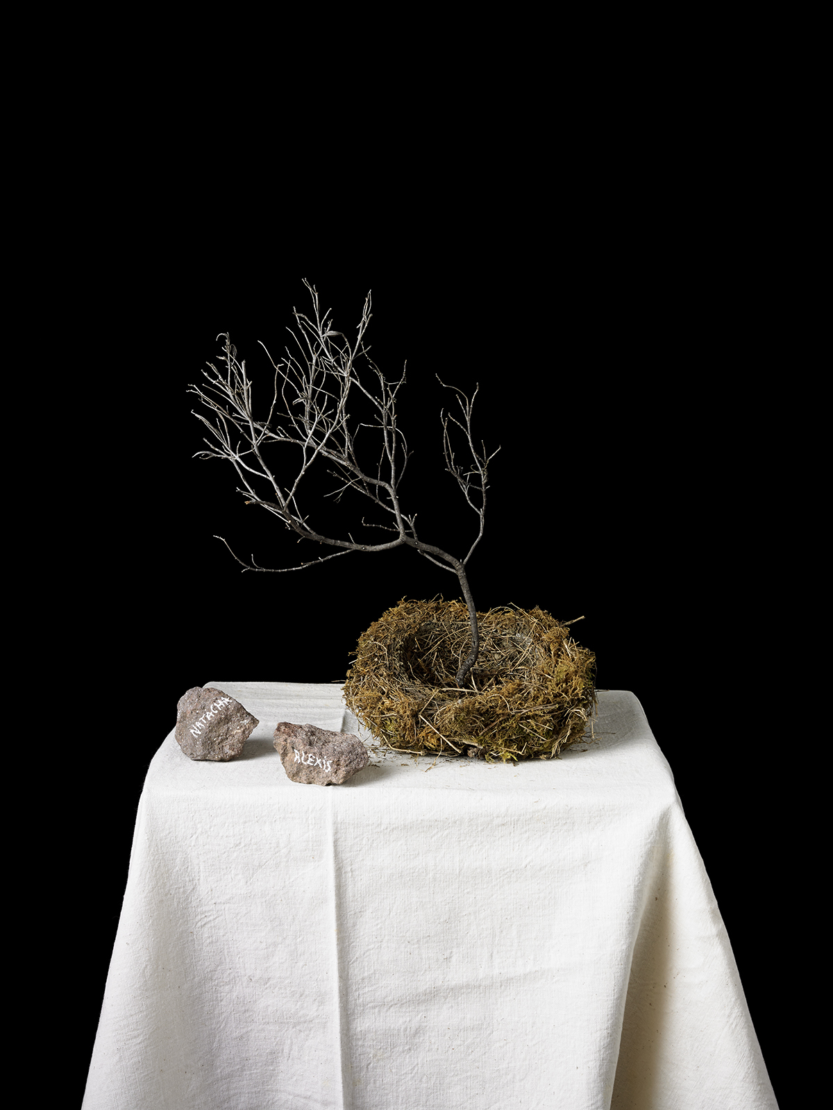 Figeac : Sous les cendres de l'histoire – Exposition et ouverture de l'atelier de Natacha Nikouline