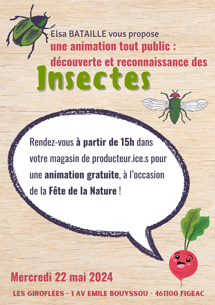 Figeac : Atelier découverte et reconnaissance des insectes au Magasin Les Giroflées