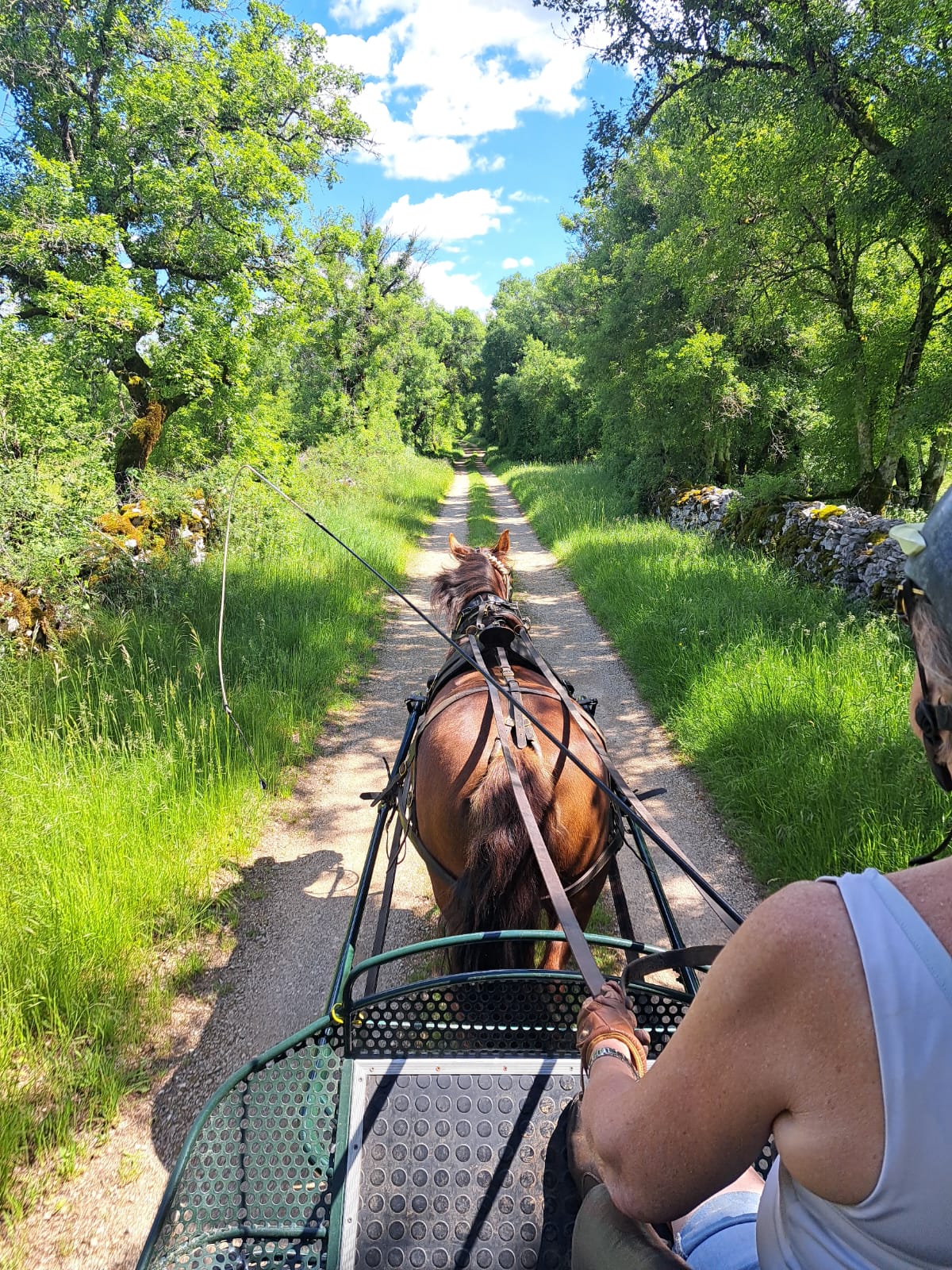 Figeac : Challenge Kalapca Loisirs - balades en calèche