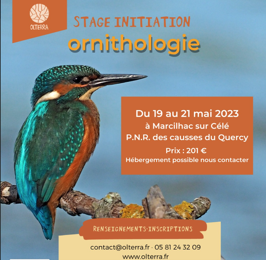 Figeac : Stage ornithologie, par l'association Olterra