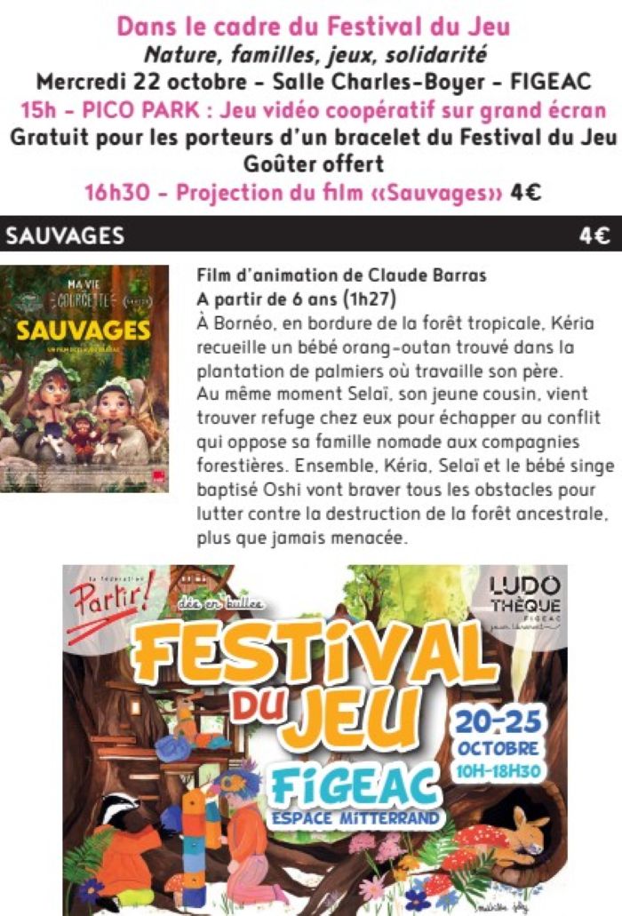Ciné Jeu à Figeac, Pico Park et ciné  