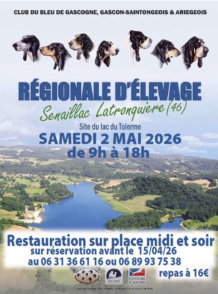 Figeac : Régionale d’élevage de chiens au lac du Tolerme