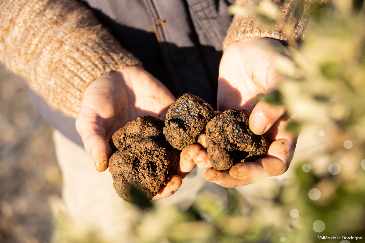 Figeac : Marché de la Truffe de Souillac