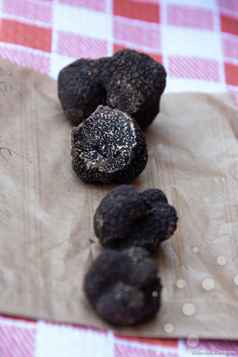 Figeac : Marché aux truffes de Saint-Céré