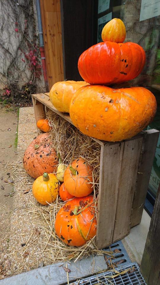 Figeac : Halloween à Souillac