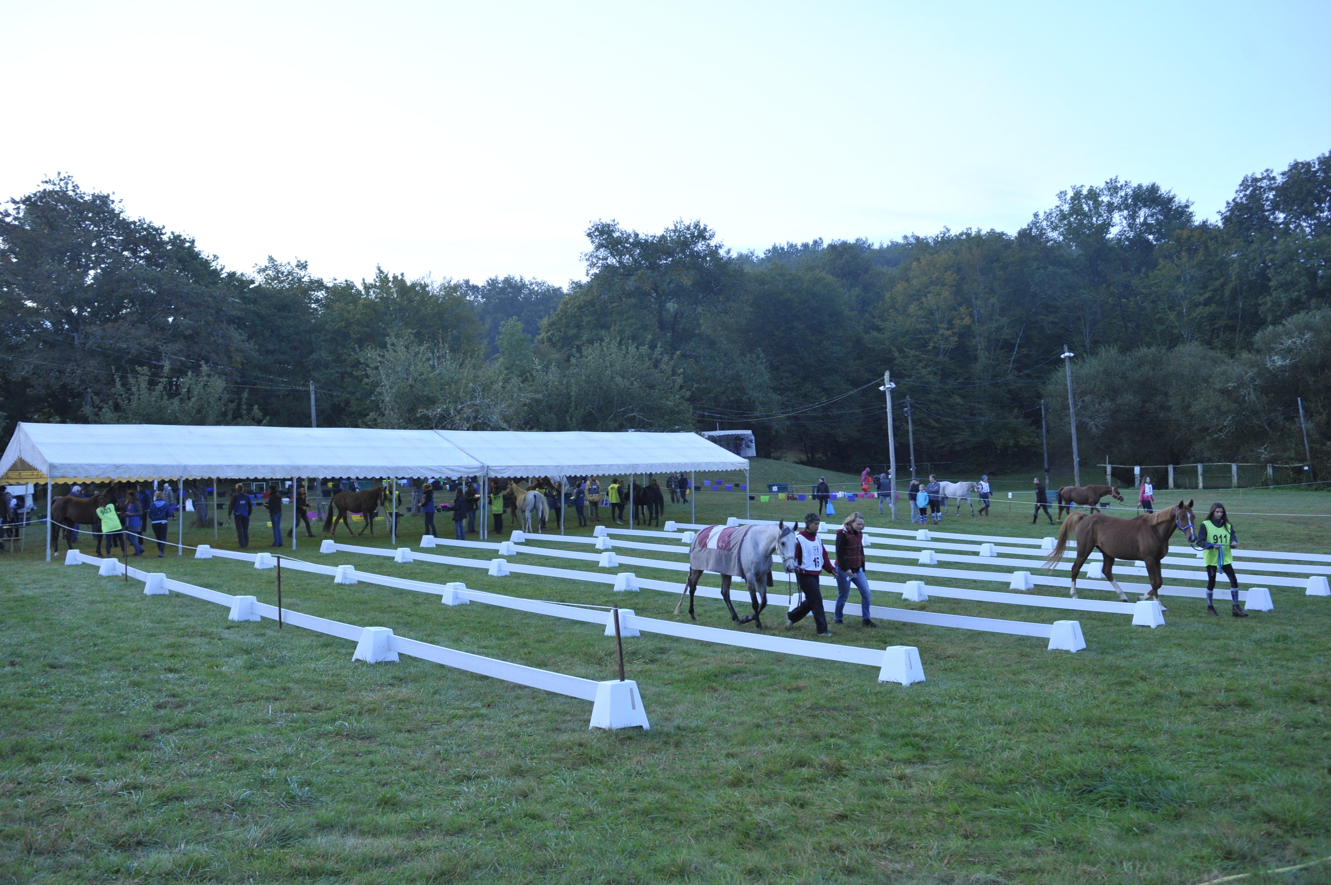 Figeac : 20ème Course d'Endurance Équestre du Dégagnazès