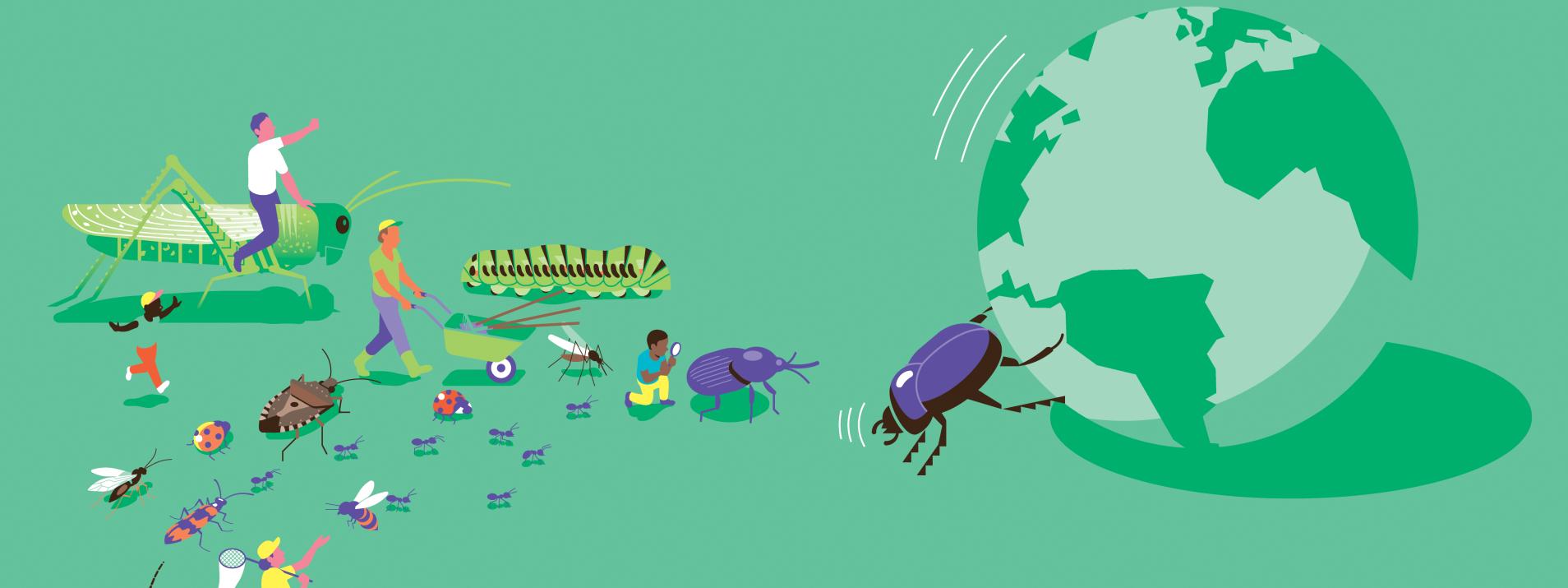 Exposition au foyer rural de Concots: Les insectes au secours de la planète