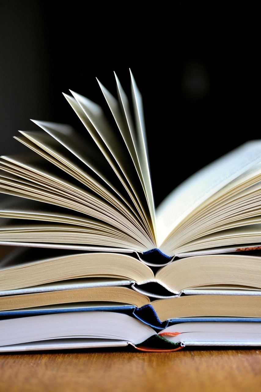 Figeac : Vente publique des livres désherbés