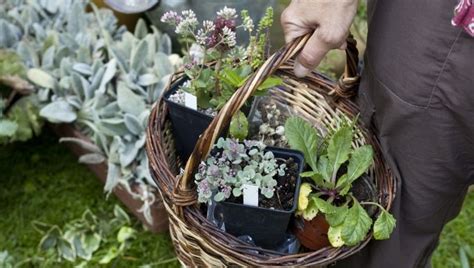 Figeac : Vide-greniers et troc aux plantes à Latouille-Lentillac